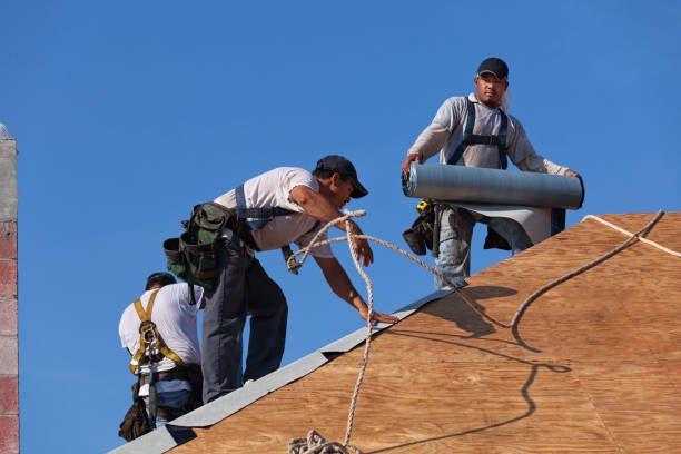 Professional Roofing Contractor in Rockwood, VA